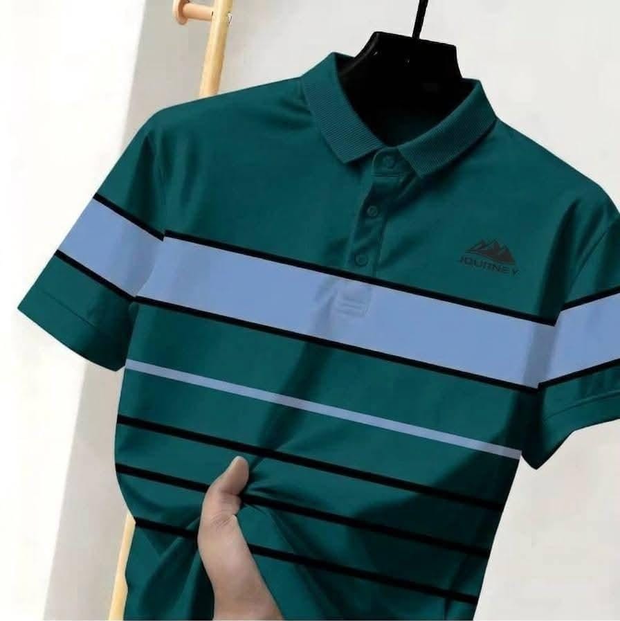 Stylish New Polo Shirt 2